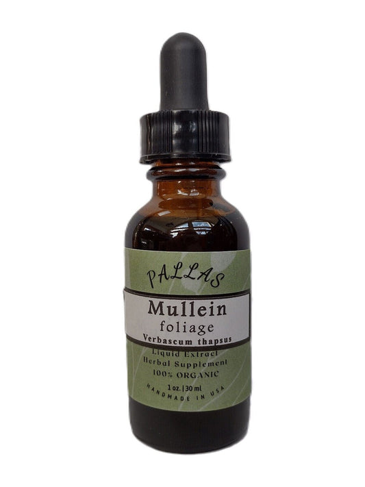 Mullein Leaf Herbal Extract, Organic, 1 Fl Oz, Made in Maine