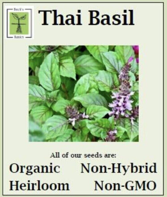 Thai Basil Seeds - ORGANIC, NON-GMO, NON-HYRID, HEIRLOOM SEEDS