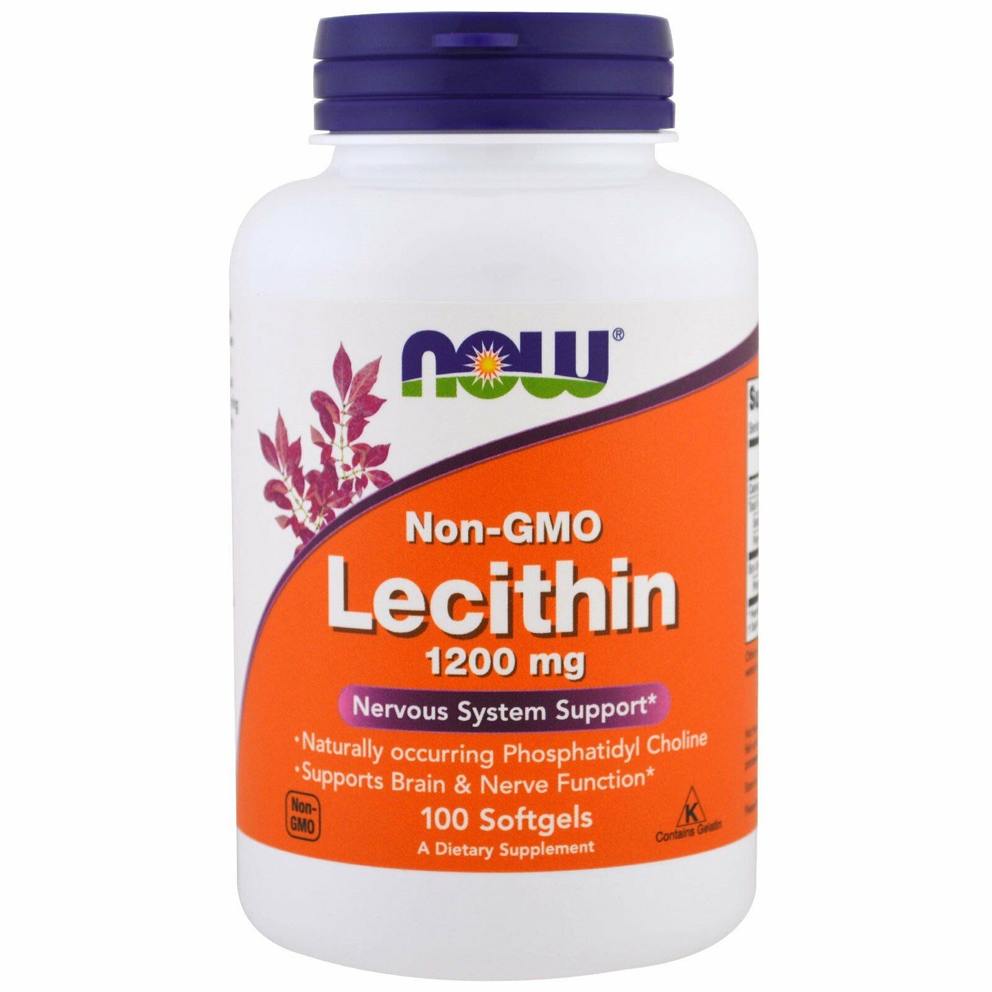 Now Foods, (2 Pack) Lecithin, 1200 Mg, 100 Softgels