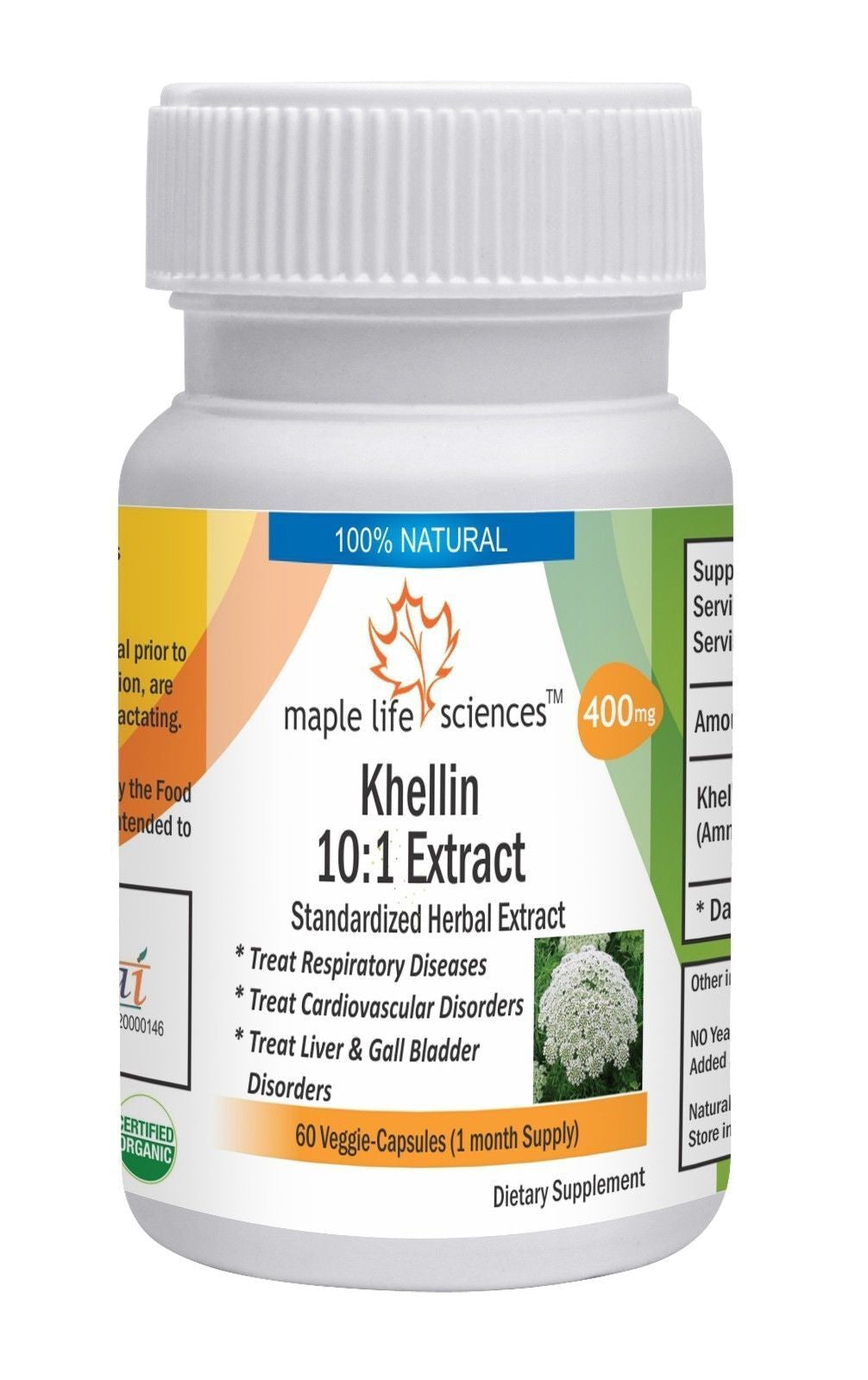 Khellin Extract 10:1 Capsules Ammi Visnaga Extract High Quality No Fillers