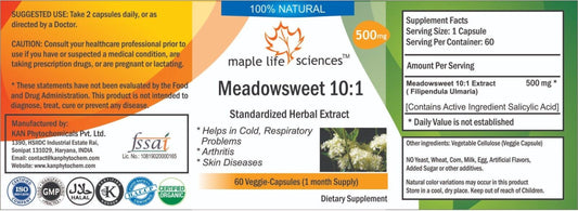 Meadowsweet 10:1 Extract Capsules Salicylic Acid Pure High Quality No Filer