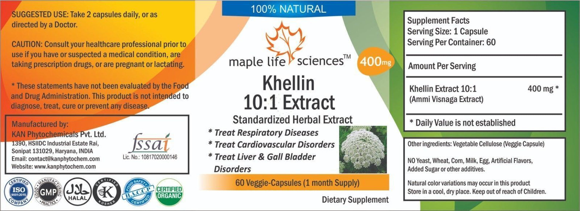 Khellin Extract 10:1 Capsules Ammi Visnaga Extract High Quality No Fillers