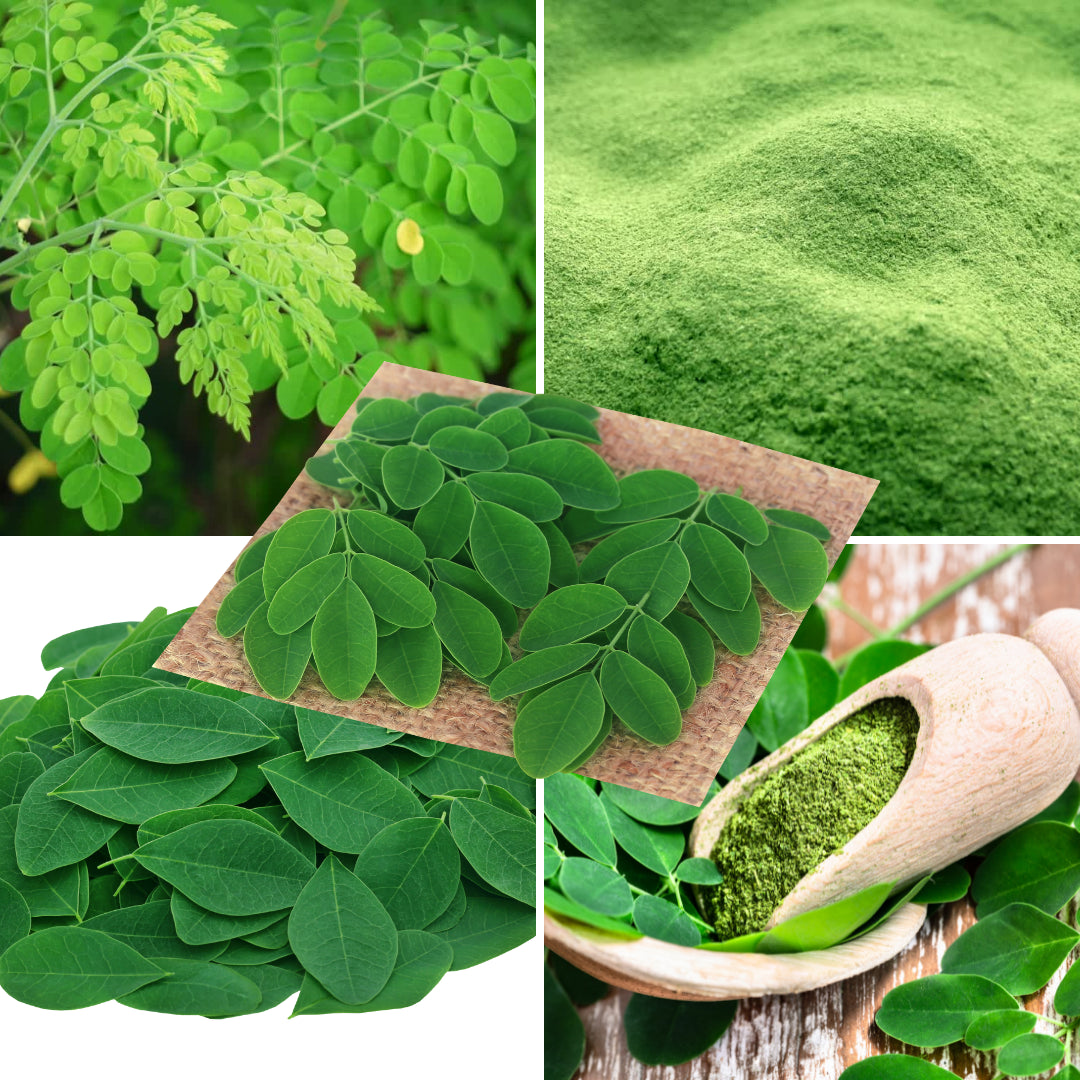 Pure Organic Moringa Leaf Powder 100% Oleifera Leaf Non GMO -100G to 1Kg