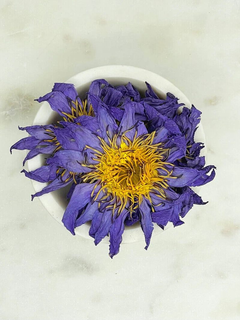 Whole Blue Lotus Flower Nymphaea Caerulea Hand Picked Natural Organic Herbal Tea