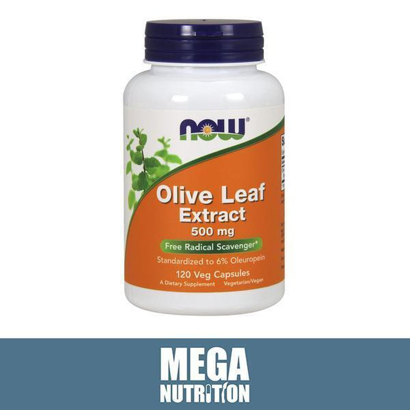 NOW Foods Olive Leaf Extract 500Mg 120 Veg Caps Vegan Herbal Supplement