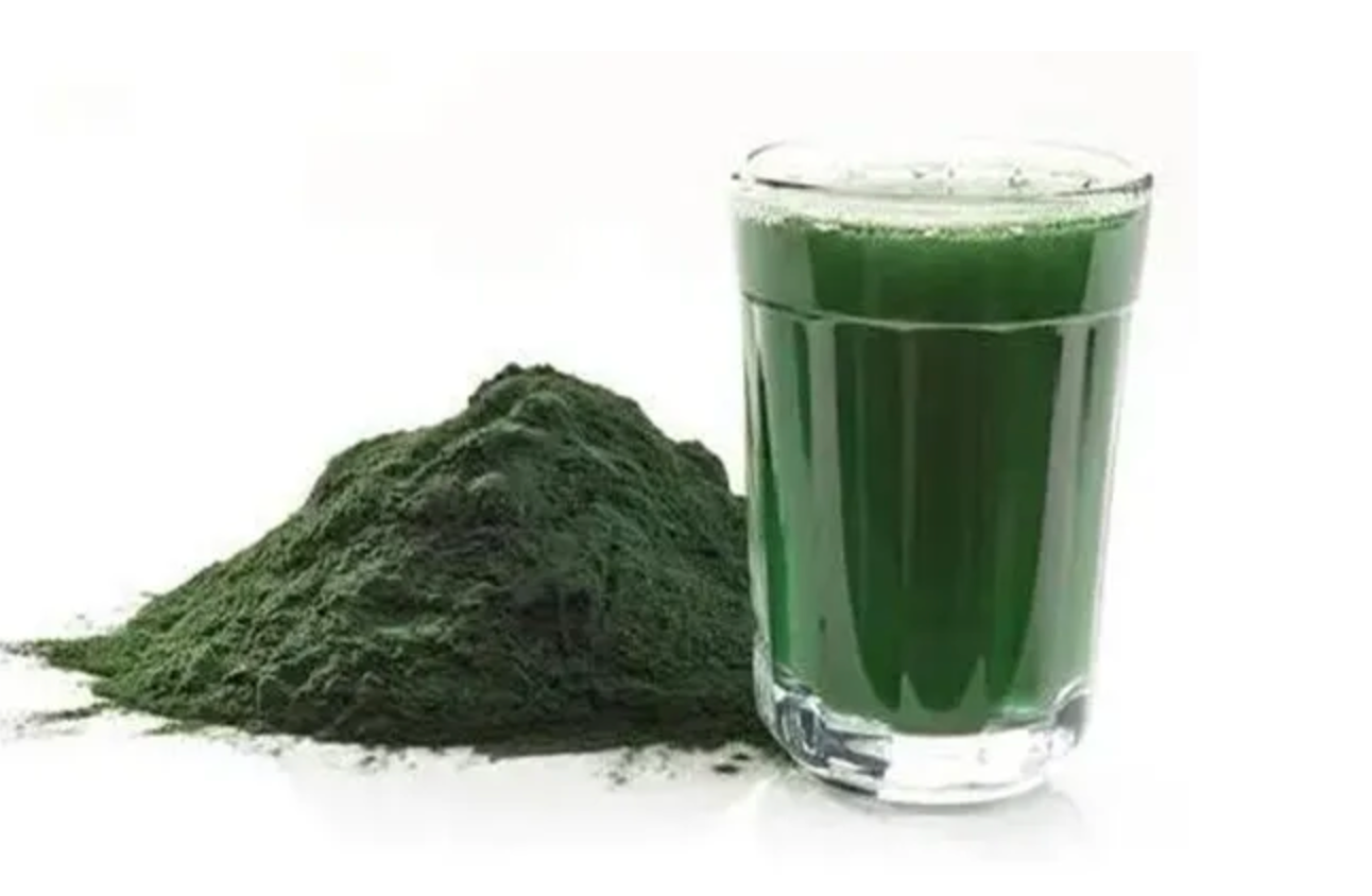 Spirulina Extract Pure Powder