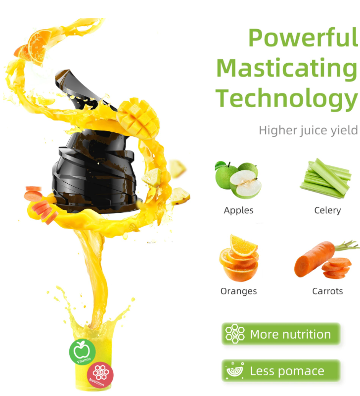 Cold press juicer