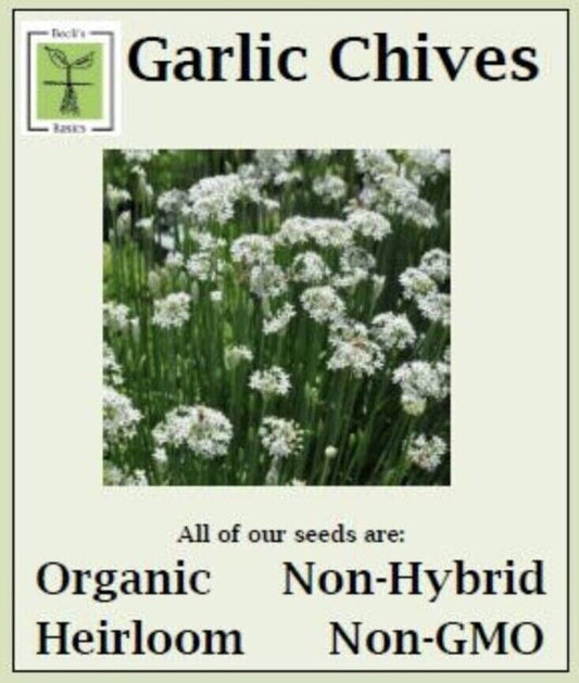 Garlic Chives Seeds - ORGANIC, NON-GMO, NON-HYRID, HEIRLOOM SEEDS