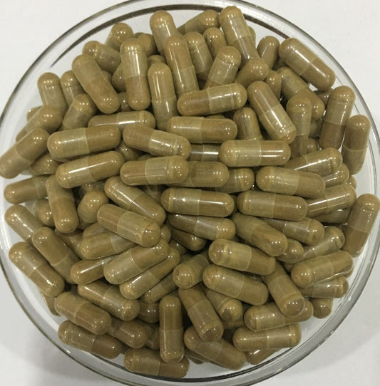 Echinacea Purpurea Extract Capsules Polyphenols Chicoric Acid No Fillers