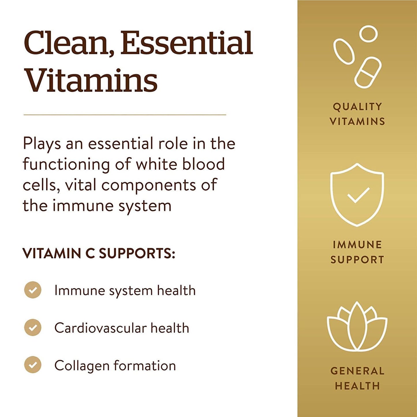 Solgar Vitamin C 500 Mg 100 Vegetable Capsules