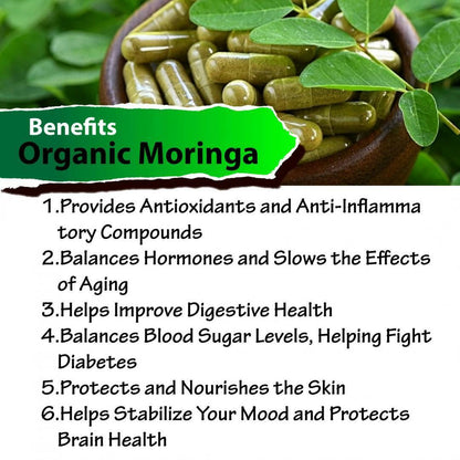 Moringa Capsules 600Mg Oleifera Leaf Pure Organic Powder Natural Superfood Caps