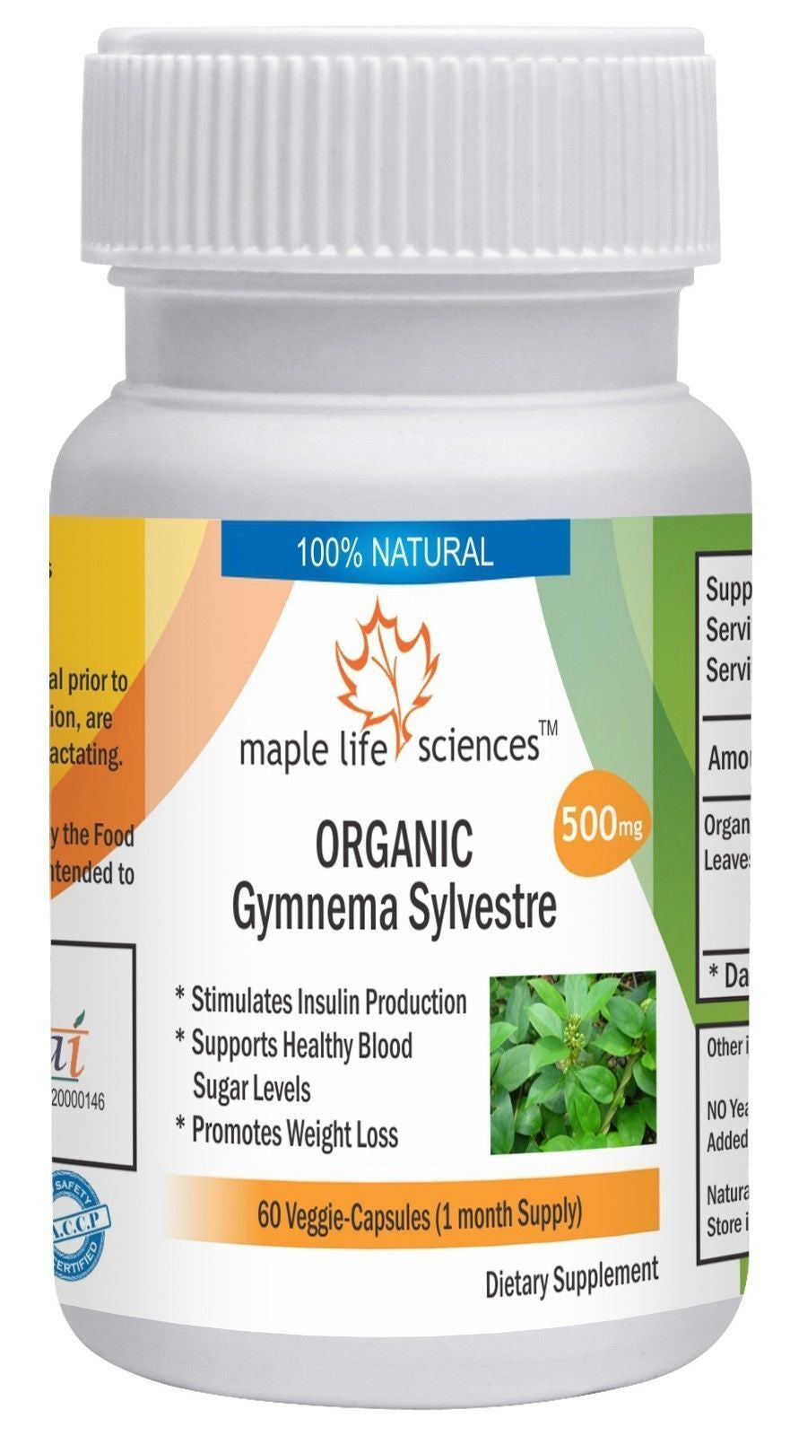 ORGANIC Gymnema Sylvestre Leaves Capsules Weight Loss Control Blood Sugar